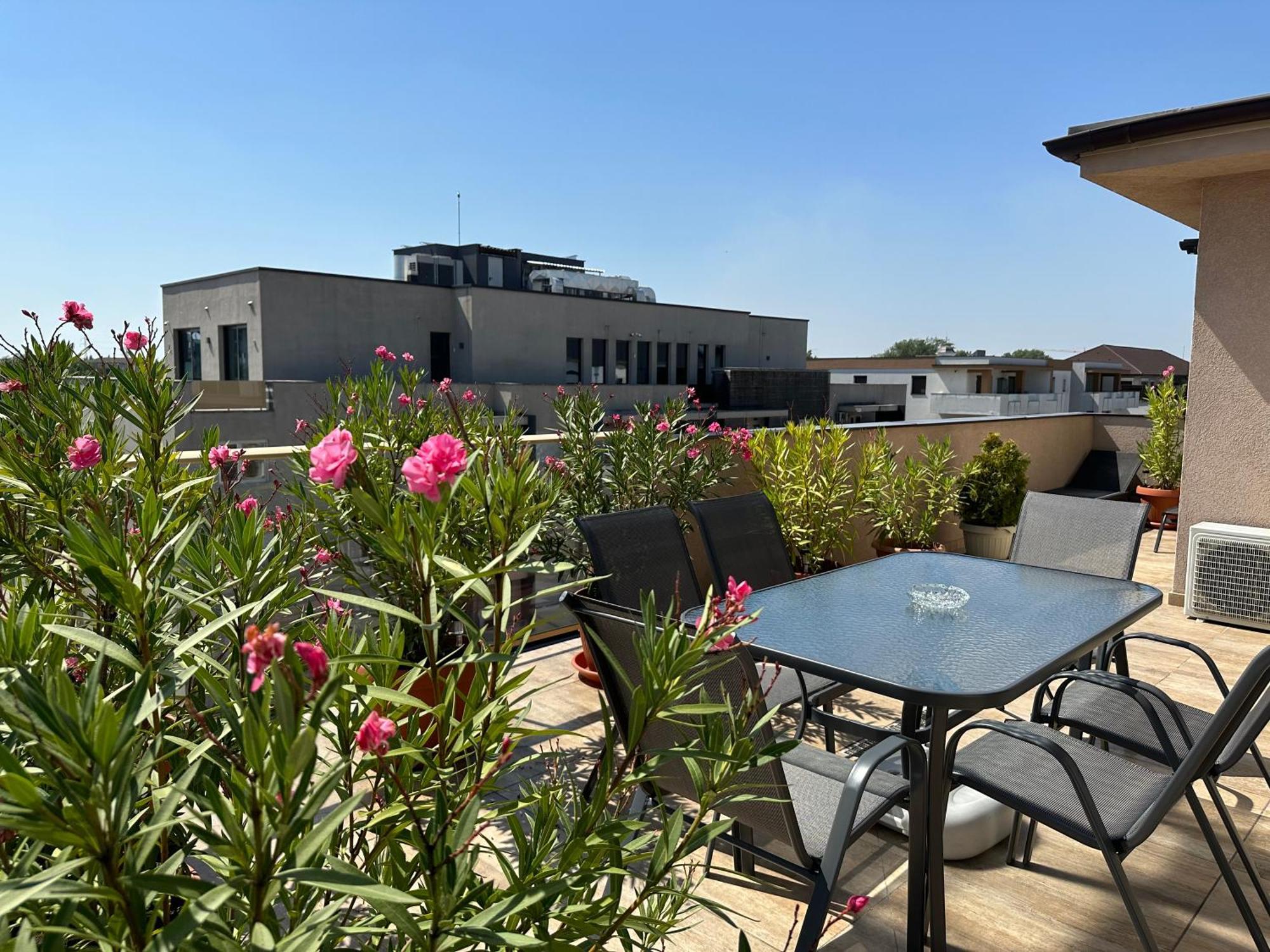 Venetia Apartament - Timisoara Apartment Exterior photo